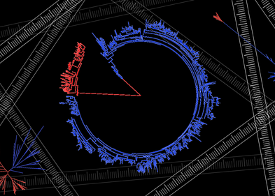 Baumdiagramme wie dieses bilden die Stammesgeschichte von Bakterien ab. Sie sind die Grundlage für das Verständnis mikrobieller Evolution. Baumdiagramme wie dieses bilden die Stammesgeschichte von Bakterien ab. Sie sind die Grundlage für das Verständnis mikrobieller Evolution.